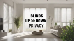 blinds up or down privacy
