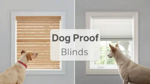 Dog Proof Blinds